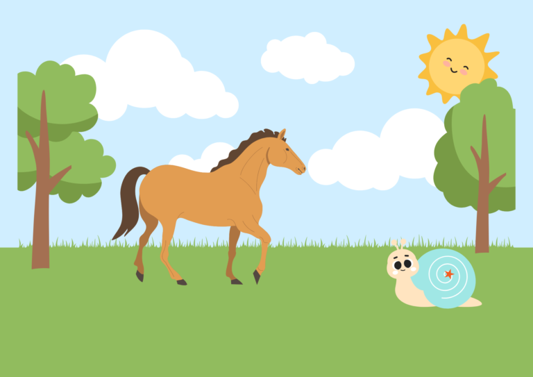 Snail and Horse