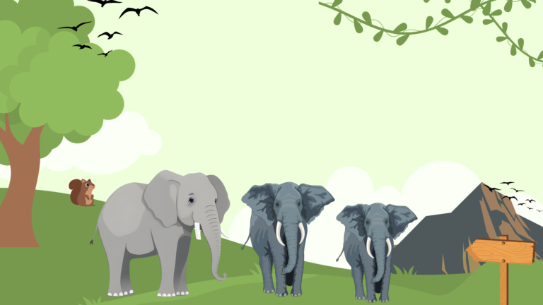 White Elephant (सफेद हाथी)