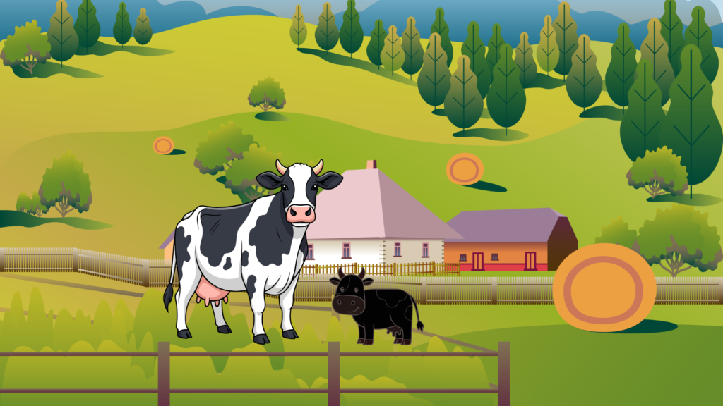 A sad black calf stands alone while its two white sisters play together, as the mother cow gently asks why he looks upset.